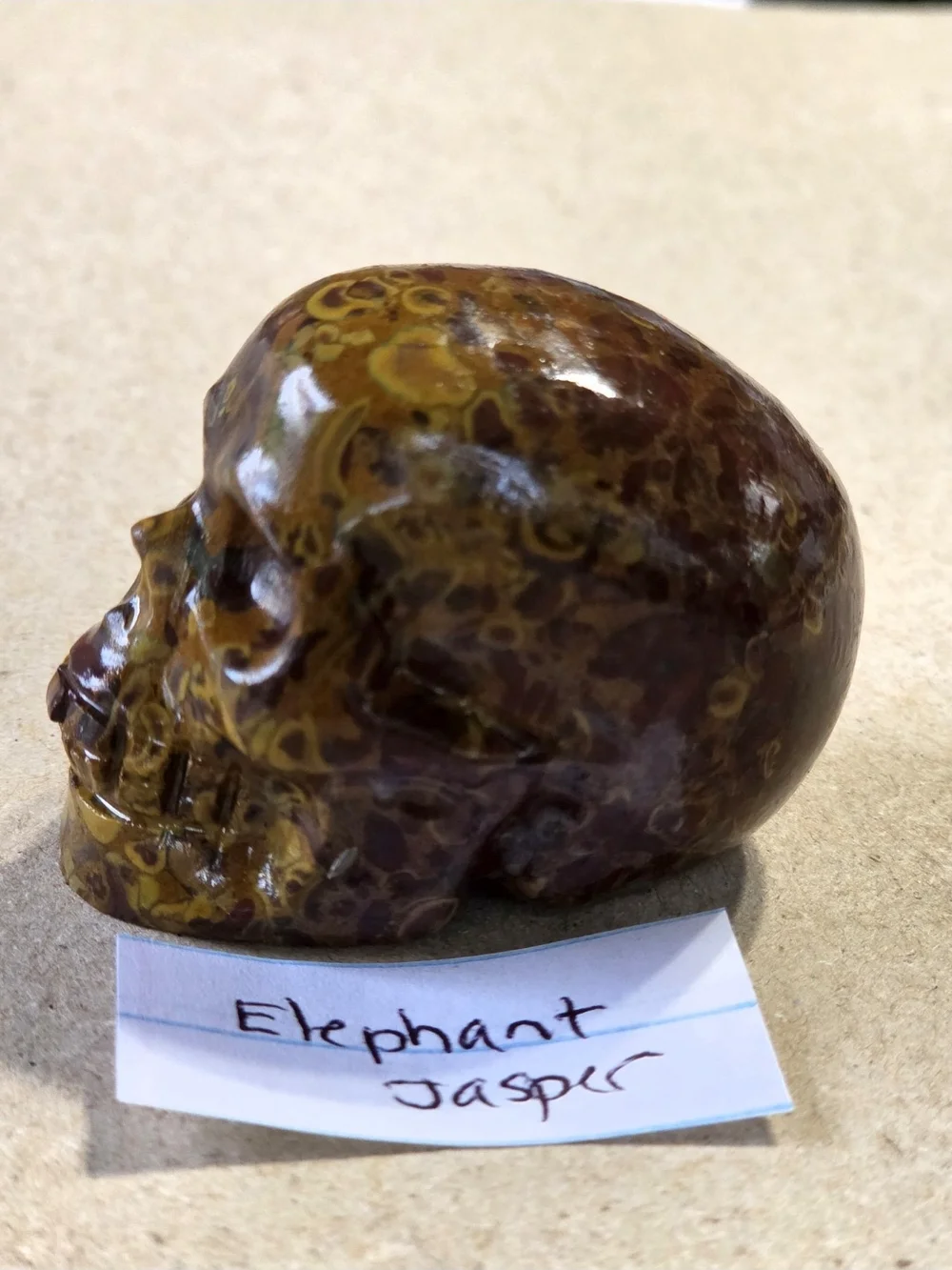 Elephant Jasper Decorative Skull - Brown and Yellow Home Art Sculpture
